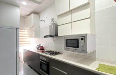 3 Bedrooms Terrace Duplex (Furnished)