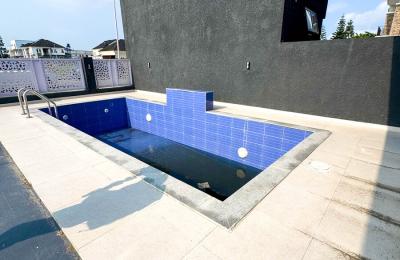 5 bedroom luxury duplex with swimming pool