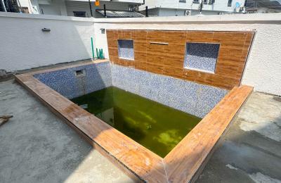 Contemporary 5 Bedroom Fully Detached Duplex with BQ